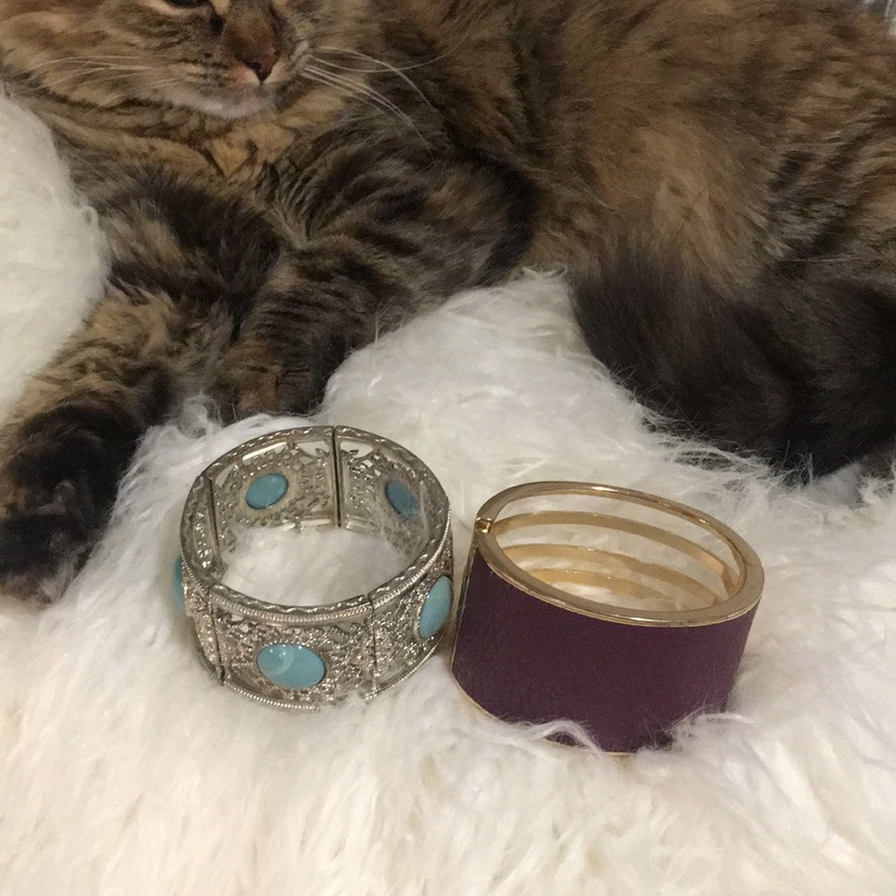 Both Bracelets!